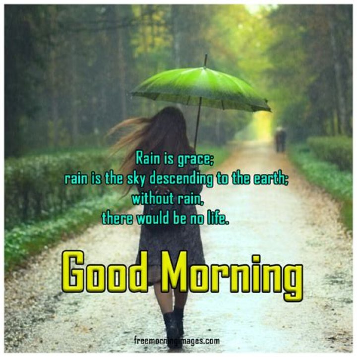 Embracing Raindrops: Heartwarming Good Morning Messages On Rainy Days