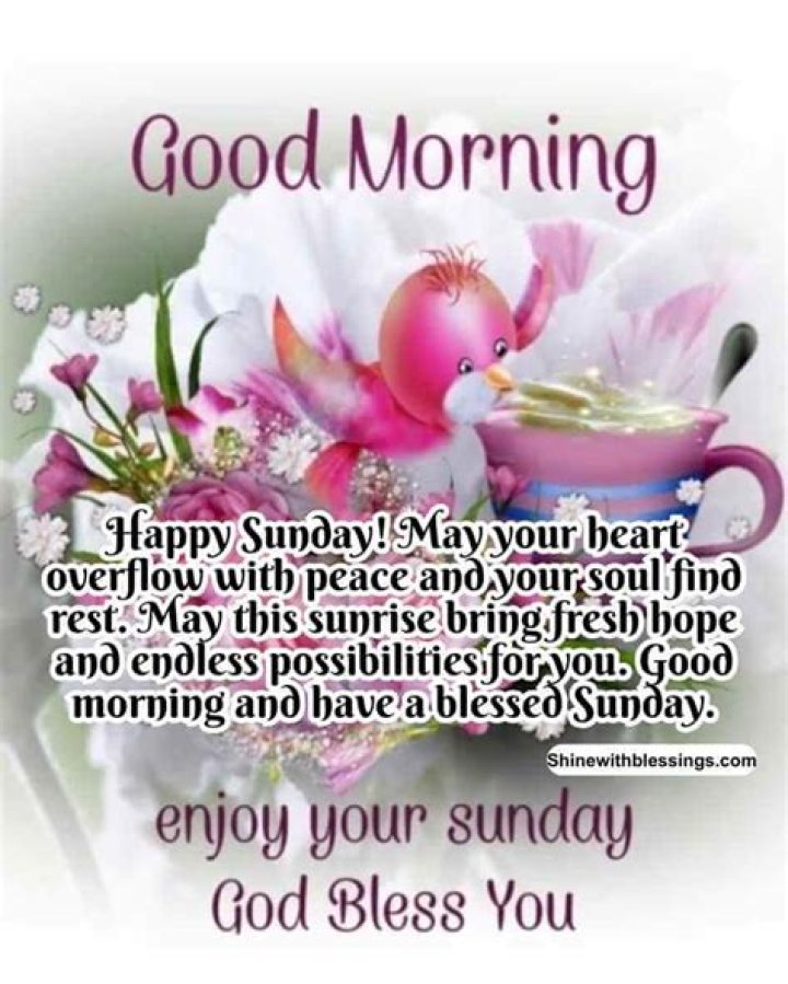 Embracing Sunday Morning Greetings: A Beautiful Start To Your Week