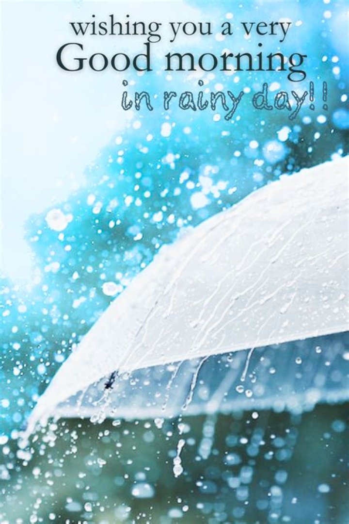 Embracing The Serenity: Good Morning On A Rainy Day