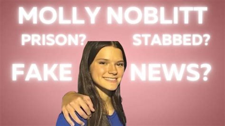 Unraveling The Mystery: Was Molly Noblitt Stabbed To Death?